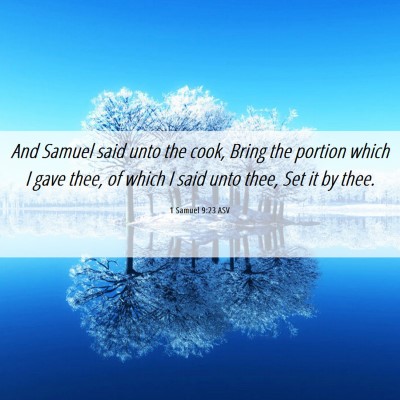 Picture 06 - 1 Samuel 9:23 ASV - And Samuel said unto the cook, Bring the portion - Bible Verse Picture