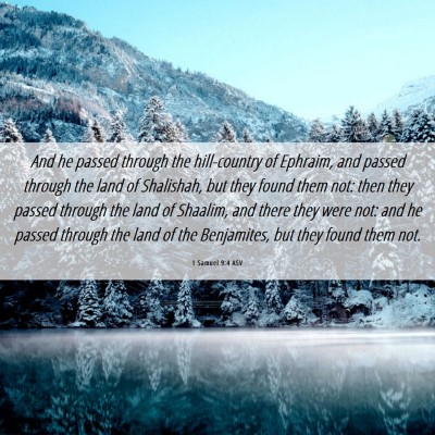 Picture 06 - 1 Samuel 9:4 ASV - And he passed through the hill-country of - Bible Verse Picture