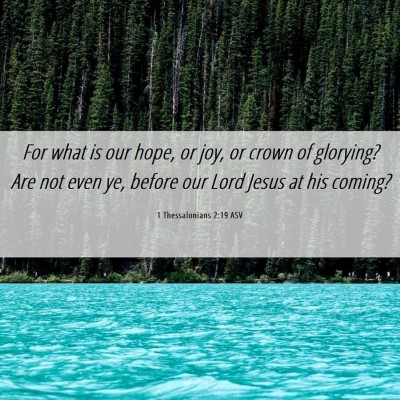 Picture 06 - 1 Thessalonians 2:19 ASV - For what is our hope, or joy, or crown of - Bible Verse Picture