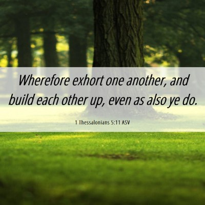 Picture 06 - 1 Thessalonians 5:11 ASV - Wherefore exhort one another, and build each - Bible Verse Picture