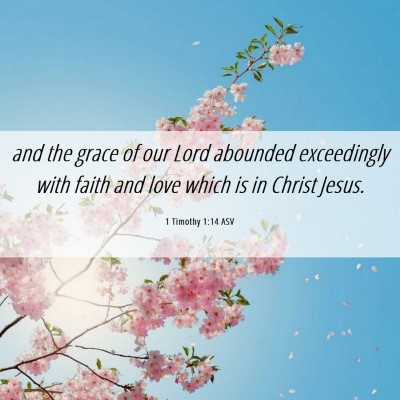 Picture 06 - 1 Timothy 1:14 ASV - and the grace of our Lord abounded exceedingly - Bible Verse Picture