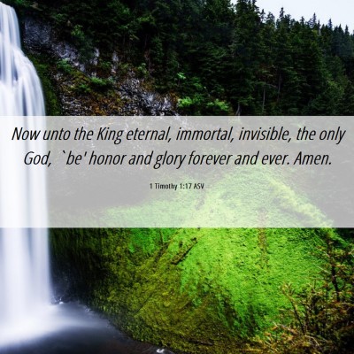 Picture 06 - 1 Timothy 1:17 ASV - Now unto the King eternal, immortal, invisible, - Bible Verse Picture