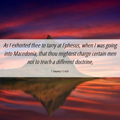 Picture 06 - 1 Timothy 1:3 ASV - As I exhorted thee to tarry at Ephesus, when I - Bible Verse Picture