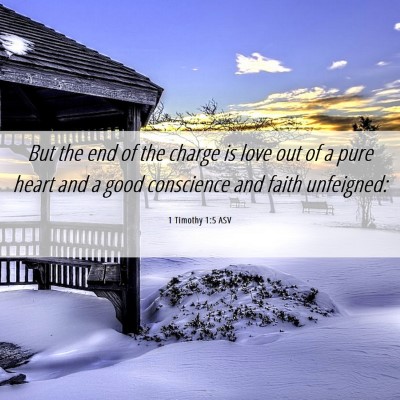 Picture 06 - 1 Timothy 1:5 ASV - But the end of the charge is love out of a pure - Bible Verse Picture