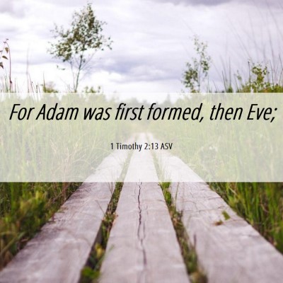 Picture 06 - 1 Timothy 2:13 ASV - For Adam was first formed, then - Bible Verse Picture