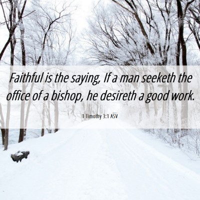 Picture 06 - 1 Timothy 3:1 ASV - Faithful is the saying, If a man seeketh the - Bible Verse Picture