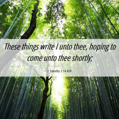 Picture 06 - 1 Timothy 3:14 ASV - These things write I unto thee, hoping to come - Bible Verse Picture