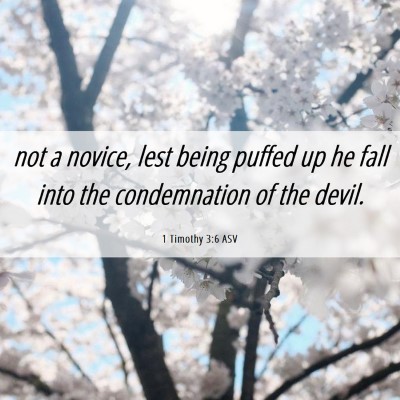 Picture 06 - 1 Timothy 3:6 ASV - not a novice, lest being puffed up he fall into - Bible Verse Picture