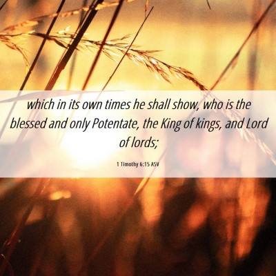 Picture 06 - 1 Timothy 6:15 ASV - which in its own times he shall show, who is the - Bible Verse Picture