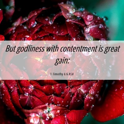 Picture 06 - 1 Timothy 6:6 ASV - But godliness with contentment is great - Bible Verse Picture