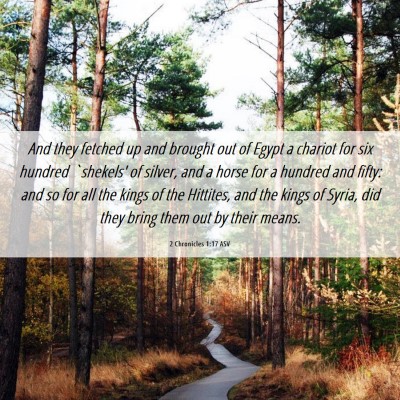 Picture 06 - 2 Chronicles 1:17 ASV - And they fetched up and brought out of Egypt a - Bible Verse Picture