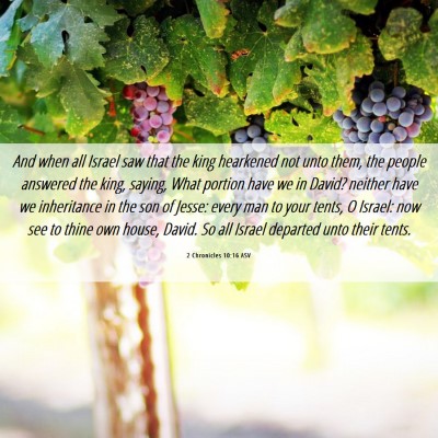 Picture 06 - 2 Chronicles 10:16 ASV - And when all Israel saw that the king hearkened - Bible Verse Picture