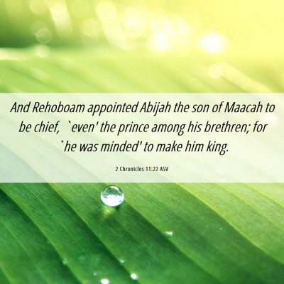Picture 06 - 2 Chronicles 11:22 ASV - And Rehoboam appointed Abijah the son of Maacah - Bible Verse Picture