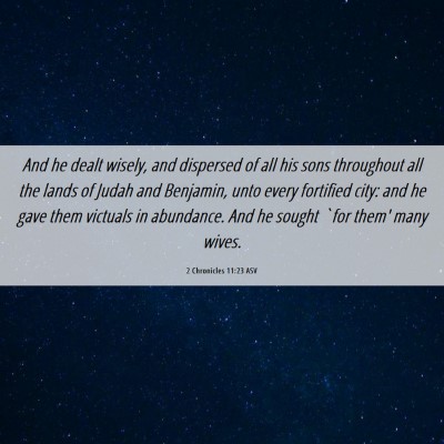 Picture 06 - 2 Chronicles 11:23 ASV - And he dealt wisely, and dispersed of all his - Bible Verse Picture