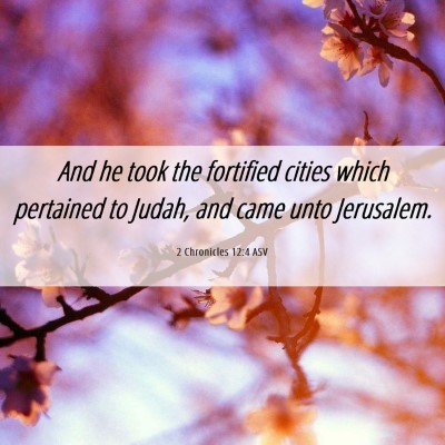Picture 06 - 2 Chronicles 12:4 ASV - And he took the fortified cities which pertained - Bible Verse Picture