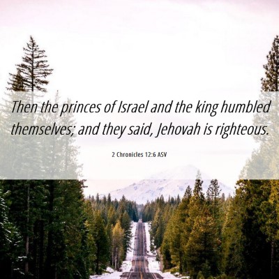 Picture 06 - 2 Chronicles 12:6 ASV - Then the princes of Israel and the king humbled - Bible Verse Picture