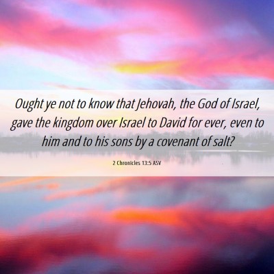 Picture 06 - 2 Chronicles 13:5 ASV - Ought ye not to know that Jehovah, the God of - Bible Verse Picture