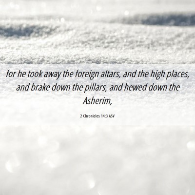 Picture 06 - 2 Chronicles 14:3 ASV - for he took away the foreign altars, and the high - Bible Verse Picture