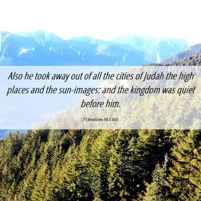 Picture 06 - 2 Chronicles 14:5 ASV - Also he took away out of all the cities of Judah - Bible Verse Picture