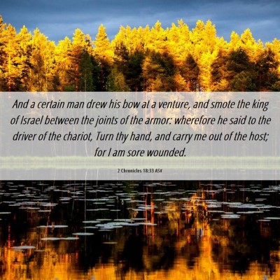 Picture 06 - 2 Chronicles 18:33 ASV - And a certain man drew his bow at a venture, and - Bible Verse Picture