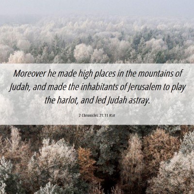 Picture 06 - 2 Chronicles 21:11 ASV - Moreover he made high places in the mountains of - Bible Verse Picture