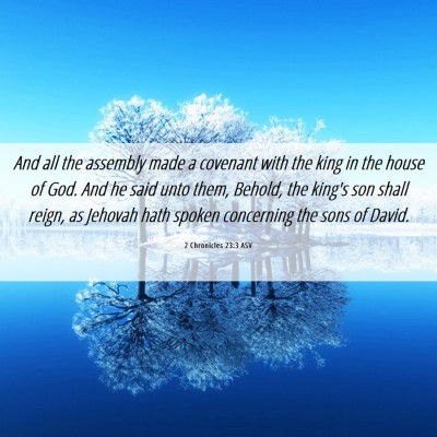 Picture 06 - 2 Chronicles 23:3 ASV - And all the assembly made a covenant with the - Bible Verse Picture