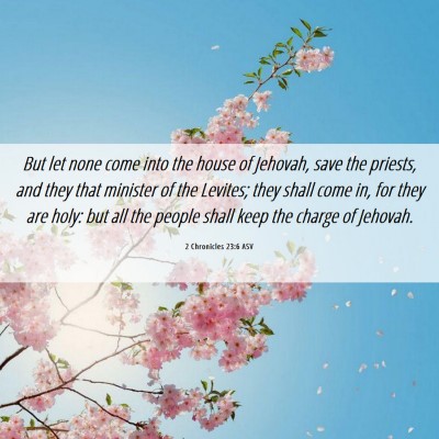Picture 06 - 2 Chronicles 23:6 ASV - But let none come into the house of Jehovah, save - Bible Verse Picture