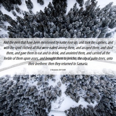 Picture 06 - 2 Chronicles 28:15 ASV - And the men that have been mentioned by name rose - Bible Verse Picture