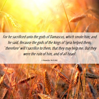 Picture 06 - 2 Chronicles 28:23 ASV - For he sacrificed unto the gods of Damascus, - Bible Verse Picture