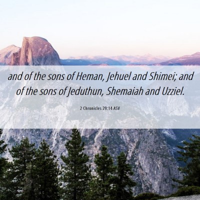 Picture 06 - 2 Chronicles 29:14 ASV - and of the sons of Heman, Jehuel and Shimei; and - Bible Verse Picture