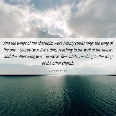 Picture 06 - 2 Chronicles 3:11 ASV - And the wings of the cherubim were twenty cubits - Bible Verse Picture