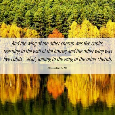 Picture 06 - 2 Chronicles 3:12 ASV - And the wing of the other cherub was five cubits, - Bible Verse Picture