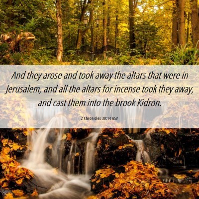 Picture 06 - 2 Chronicles 30:14 ASV - And they arose and took away the altars that were - Bible Verse Picture