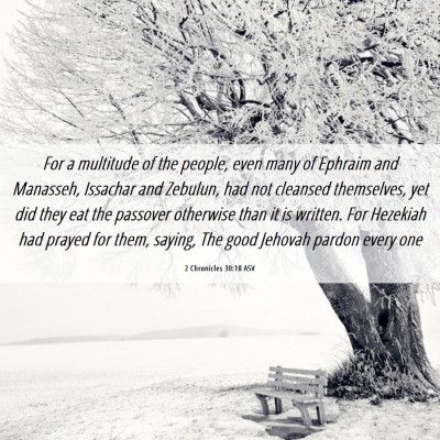 Picture 06 - 2 Chronicles 30:18 ASV - For a multitude of the people, even many of - Bible Verse Picture