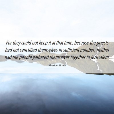 Picture 06 - 2 Chronicles 30:3 ASV - For they could not keep it at that time, because - Bible Verse Picture