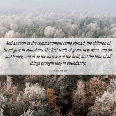 Picture 06 - 2 Chronicles 31:5 ASV - And as soon as the commandment came abroad, the - Bible Verse Picture