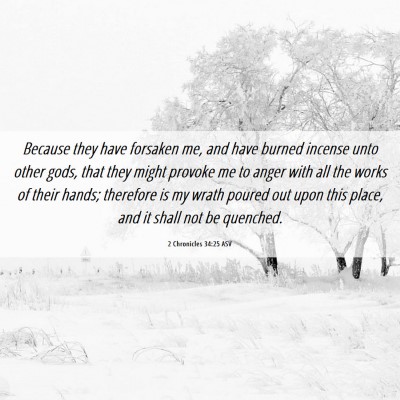 Picture 06 - 2 Chronicles 34:25 ASV - Because they have forsaken me, and have burned - Bible Verse Picture