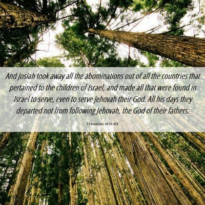 Picture 06 - 2 Chronicles 34:33 ASV - And Josiah took away all the abominations out of - Bible Verse Picture