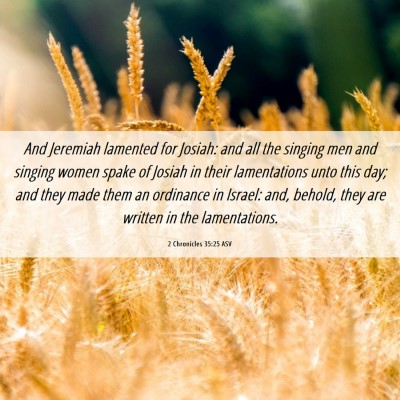 Picture 06 - 2 Chronicles 35:25 ASV - And Jeremiah lamented for Josiah: and all the - Bible Verse Picture
