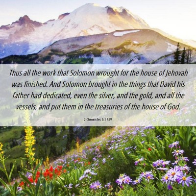 Picture 06 - 2 Chronicles 5:1 ASV - Thus all the work that Solomon wrought for the - Bible Verse Picture
