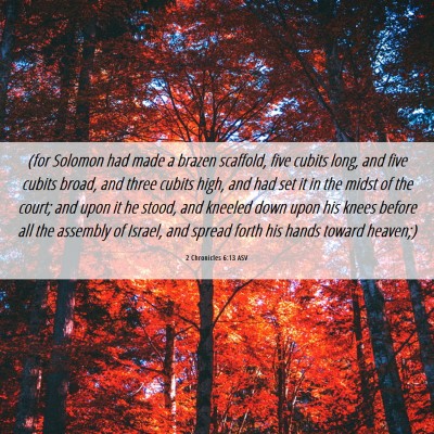Picture 06 - 2 Chronicles 6:13 ASV - (for Solomon had made a brazen scaffold, five - Bible Verse Picture