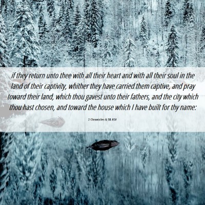 Picture 06 - 2 Chronicles 6:38 ASV - if they return unto thee with all their heart and - Bible Verse Picture