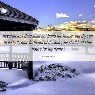 Picture 06 - 2 Chronicles 6:9 ASV - nevertheless thou shalt not build the house; but - Bible Verse Picture