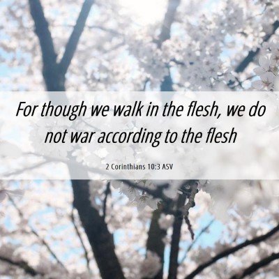 Picture 06 - 2 Corinthians 10:3 ASV - For though we walk in the flesh, we do not war - Bible Verse Picture