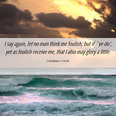 Picture 06 - 2 Corinthians 11:16 ASV - I say again, let no man think me foolish; but if - Bible Verse Picture