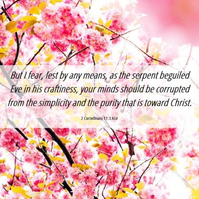 Picture 06 - 2 Corinthians 11:3 ASV - But I fear, lest by any means, as the serpent - Bible Verse Picture