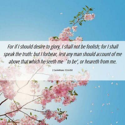 Picture 06 - 2 Corinthians 12:6 ASV - For if I should desire to glory, I shall not be - Bible Verse Picture
