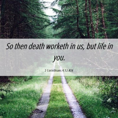 Picture 06 - 2 Corinthians 4:12 ASV - So then death worketh in us, but life in - Bible Verse Picture