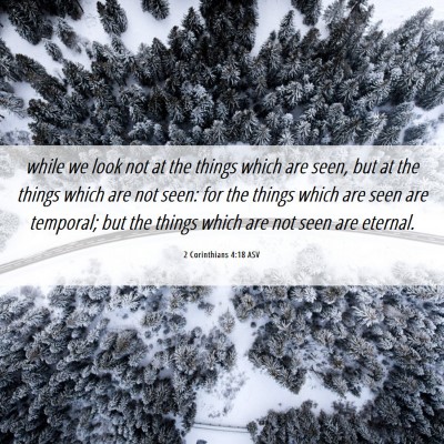 Picture 06 - 2 Corinthians 4:18 ASV - while we look not at the things which are seen, - Bible Verse Picture