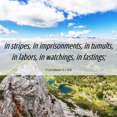 Picture 06 - 2 Corinthians 6:5 ASV - in stripes, in imprisonments, in tumults, in - Bible Verse Picture